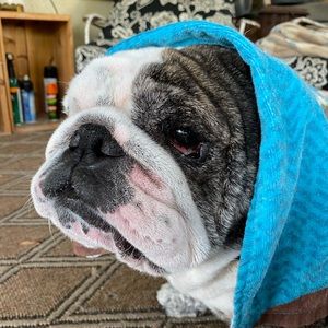 Meet your Posher, Brandy